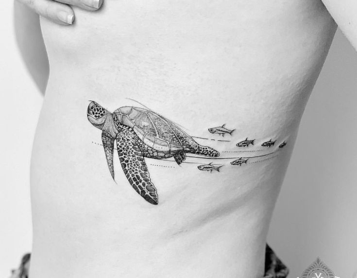 a black and white photo of a woman's stomach with a turtle tattoo on it