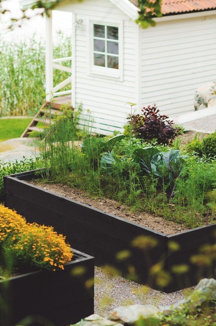 an outdoor garden with various plants and flowers in the foreground, next to a white house