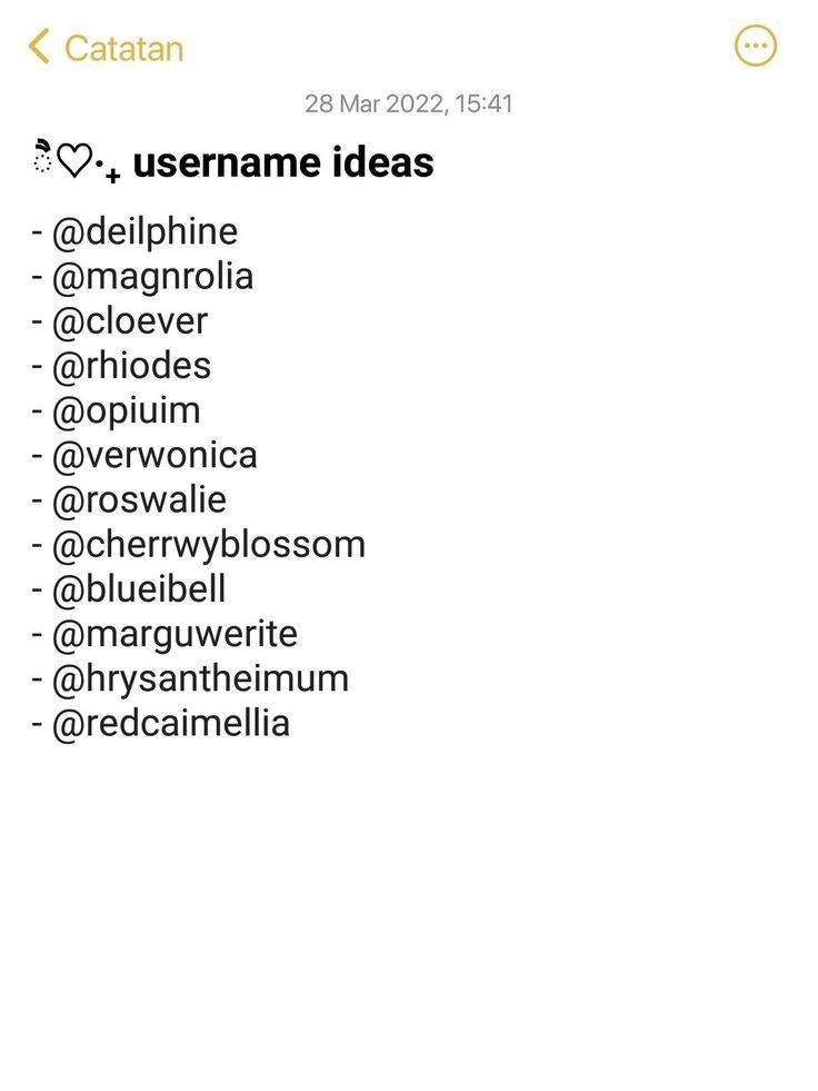 an iphone screenshot with the caption'catatan username ideas '