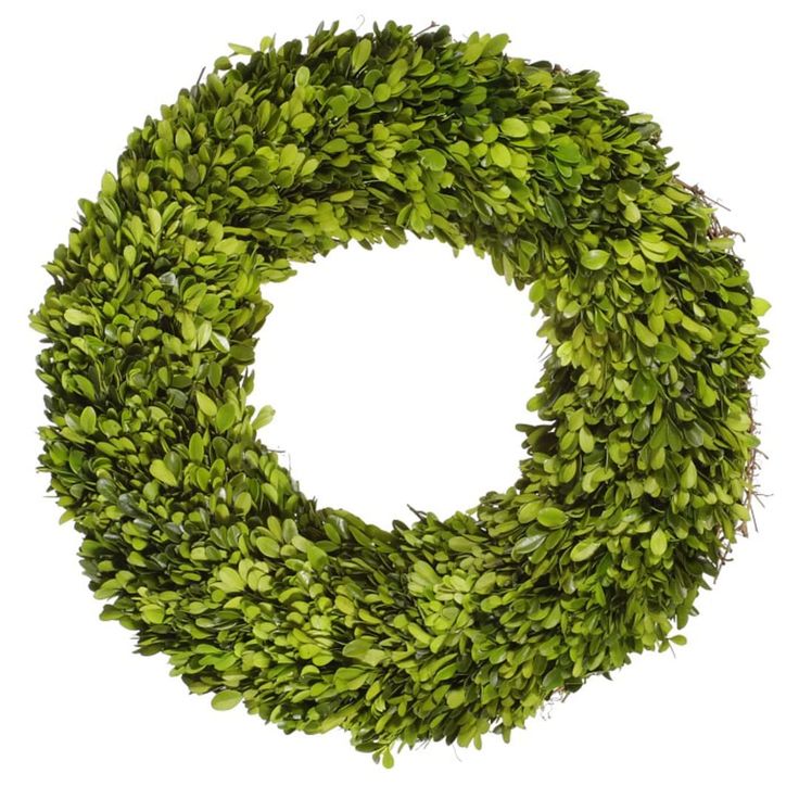 a green wreath on a white background with clippings to the bottom and bottom