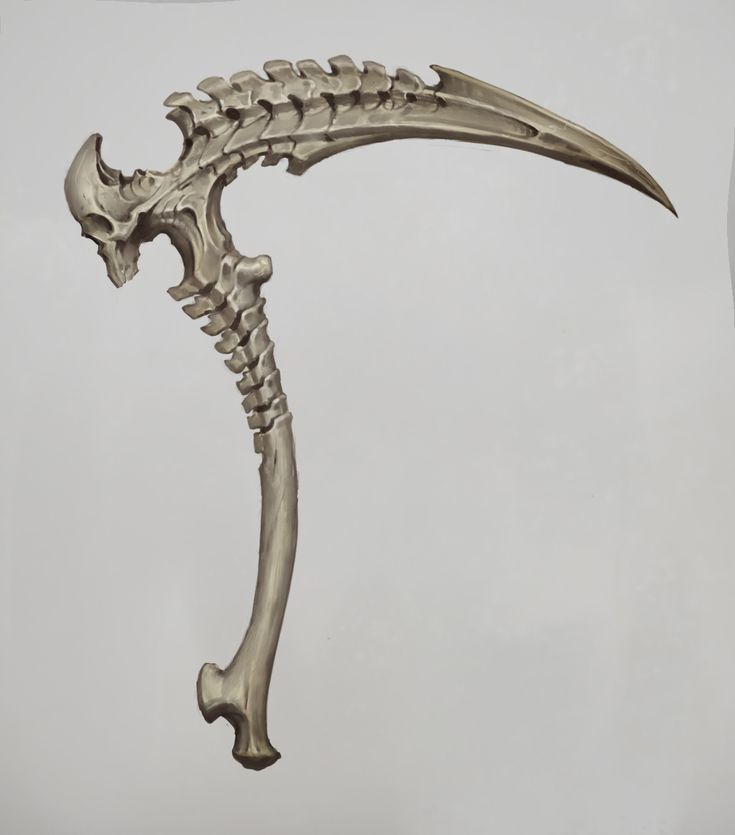 the skeleton of a bird is shown in this image