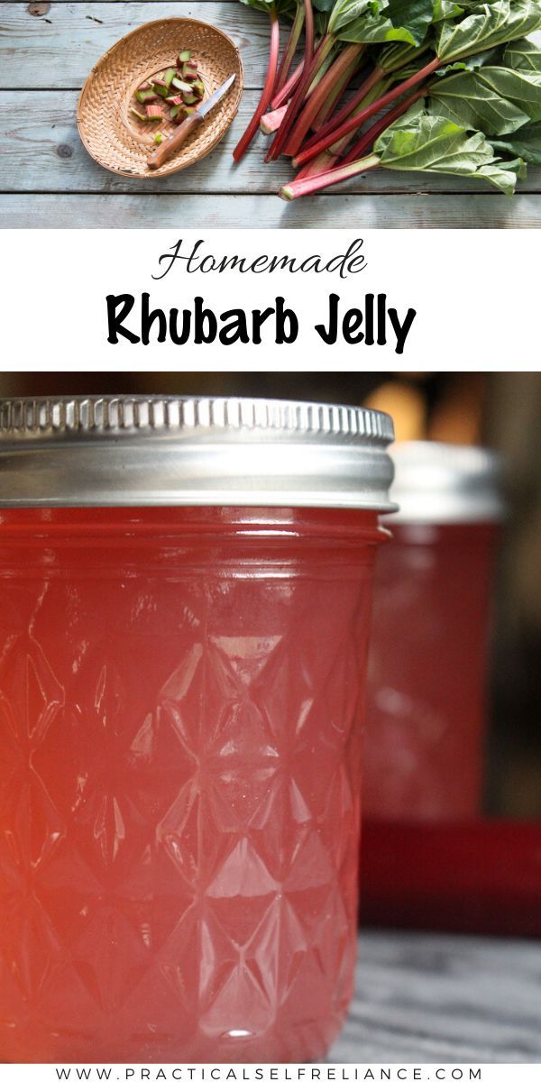 homemade rhubarb jelly in a mason jar