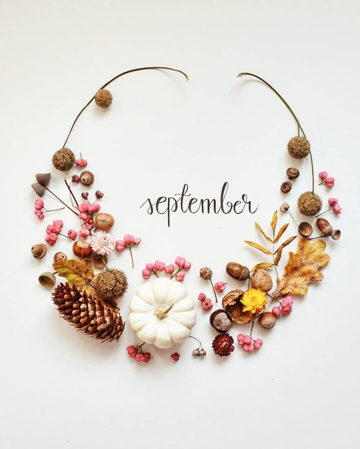 a wreath made out of pine cones, acorns and leaves with the word september written in it