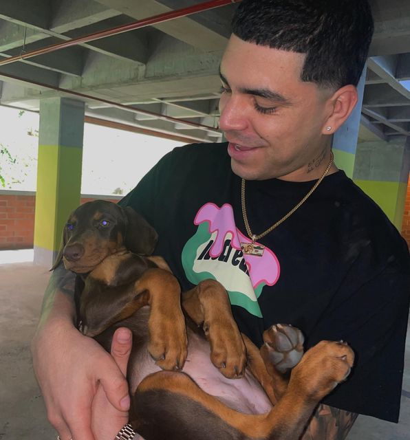 a man holding two puppies in his arms