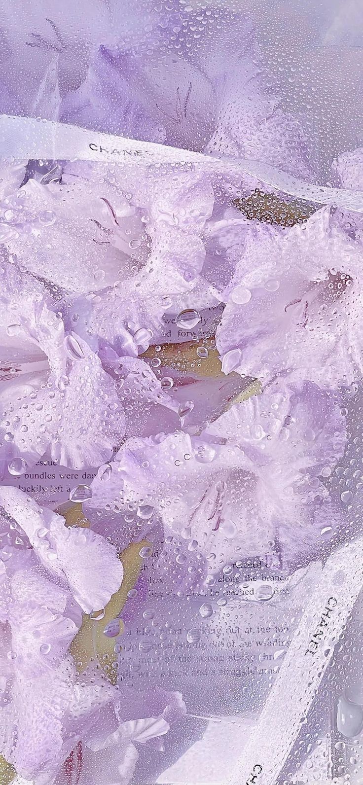 water droplets are on the surface of a purple and white cloth with words written in it