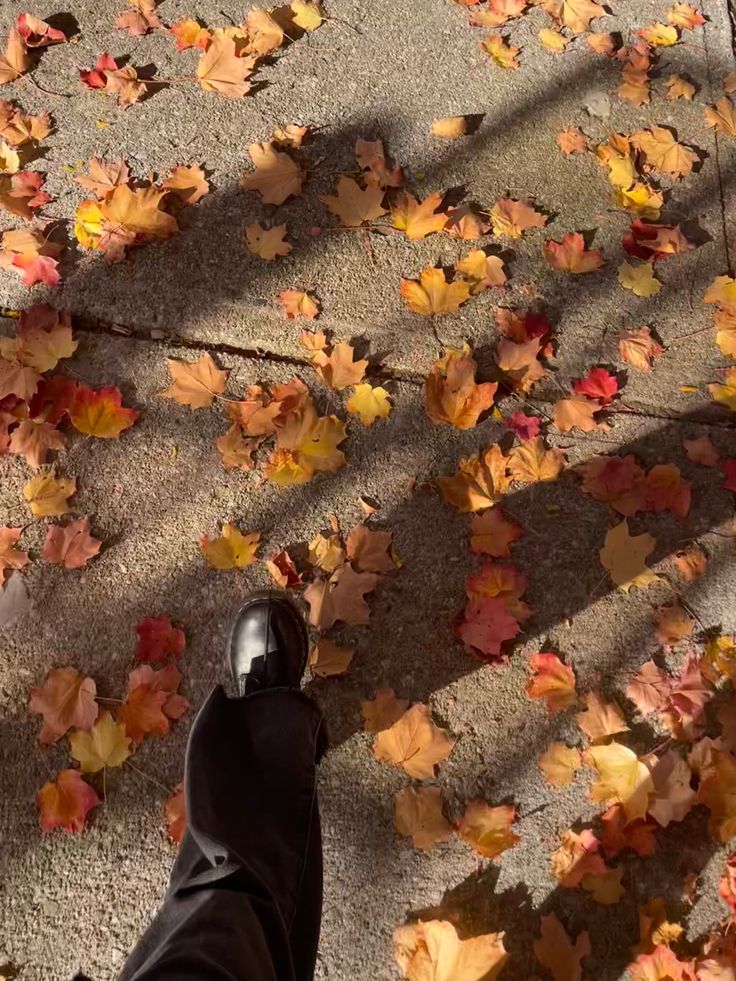 a person standing in front of leaves on the ground