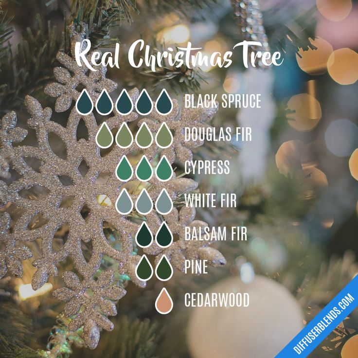 Christmas Tree Diffuser Blend, Christmas Tree Essential Oil Blend, Christmas Tree Essential Oil, Diffuser Scents, Christmas Diffuser Blends, Candle Blends, Scent Blends, White Fir, Black Spruce