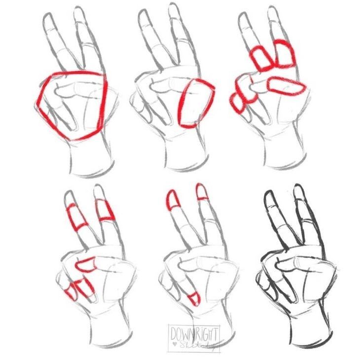 how to draw hands with different shapes and gestures for beginners, step by step