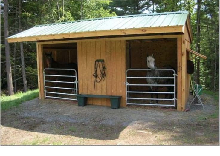 two horses are standing in their stalls