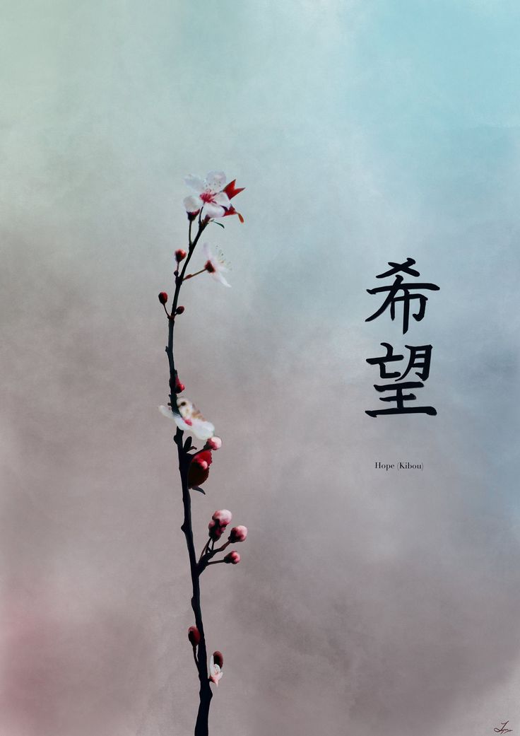 a branch with white flowers and chinese writing on the sky in the backround