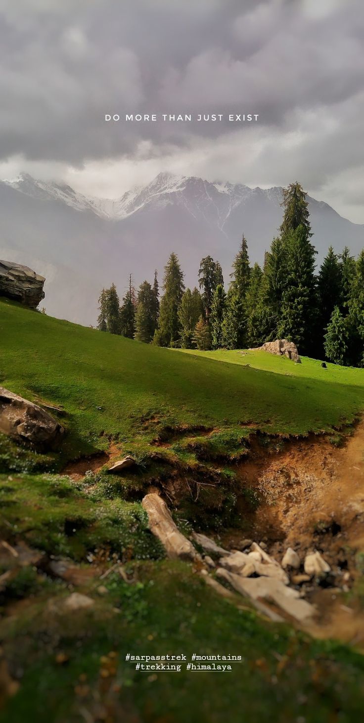 an image of a green field with mountains in the back ground and trees on the other side