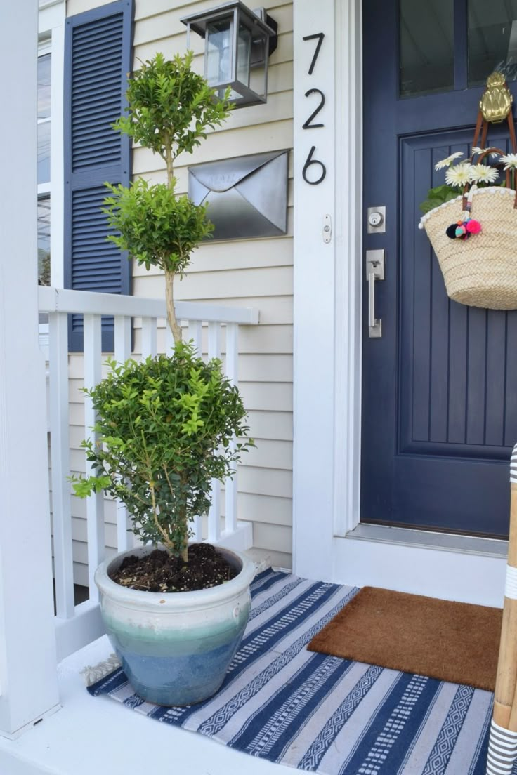 a blue front door with a potted plant on the porch and a mailbox