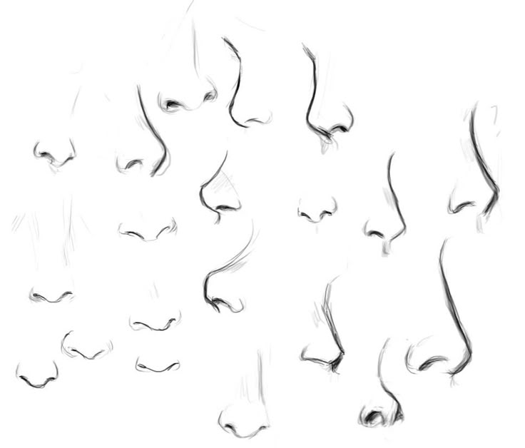 Nose References, Nose Reference, Anime Nose, Drawing Tutorial Face, Nose Drawing, Drawing Help, Drawing Expressions, Art Help, Digital Painting Tutorials