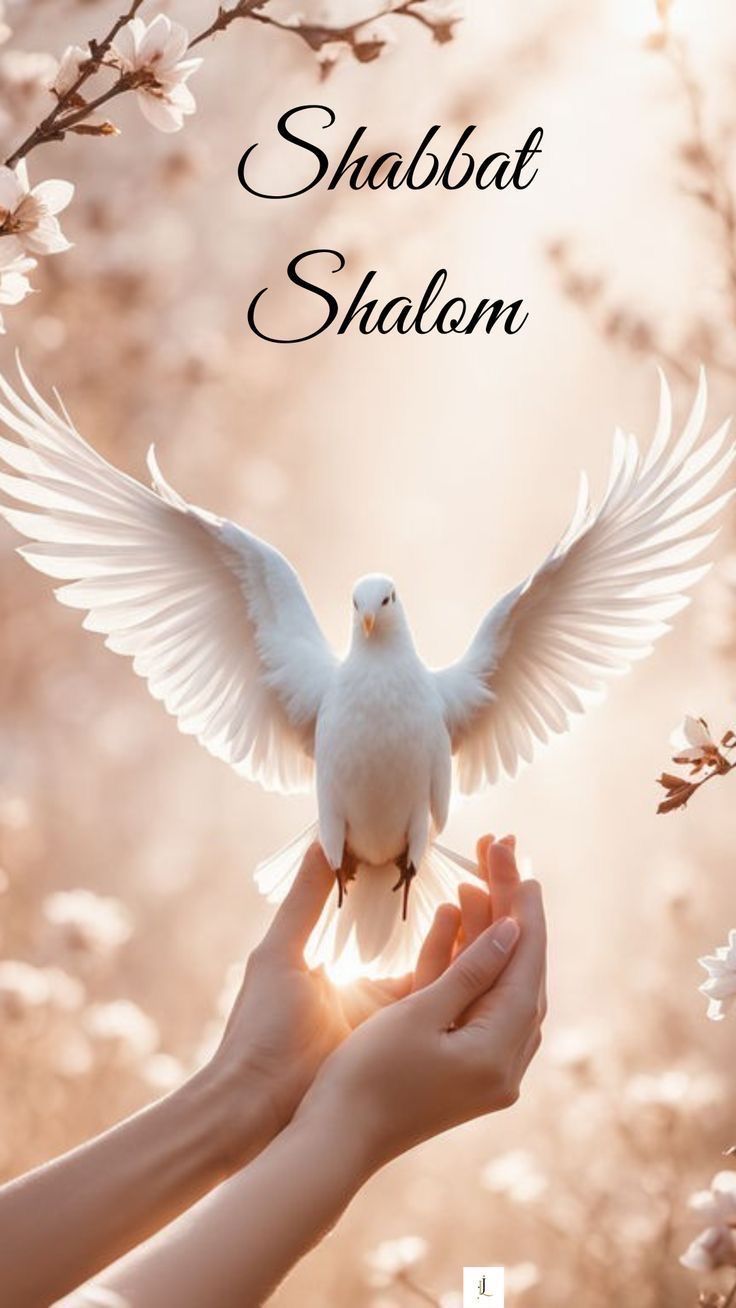 a person holding a white dove in their hands with the words shabat shalam above it