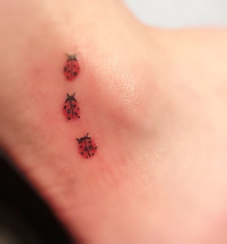 four tiny ladybugs on the back of a woman's left ankle