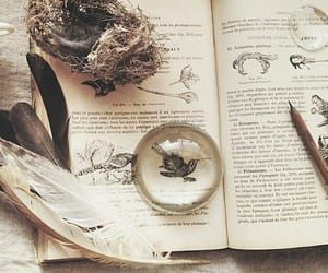 an open book sitting on top of a table next to feathers and other things in it