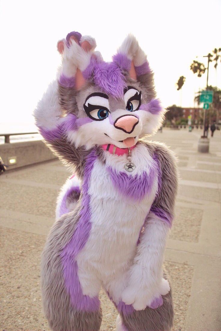 a purple and white cat mascot standing on its hind legs