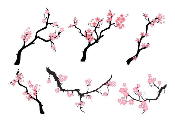 four branches with pink flowers on them