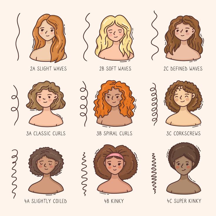 Hair Texture Chart, Slightly Curly Hair, Types Of Curly Hair, Hairstyle For Curly Hair, Hair Type Chart, Hair Chart, Curly Hair Drawing, Hair Illustration, Curly Hair Tutorial