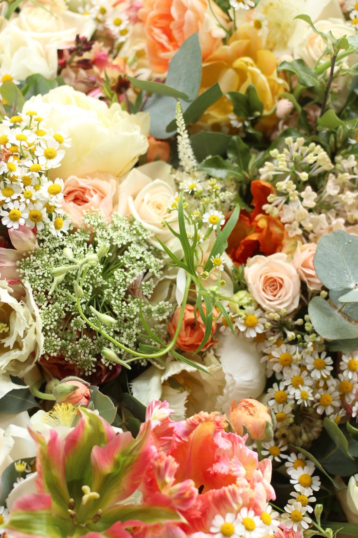 a bunch of flowers that are laying on the ground