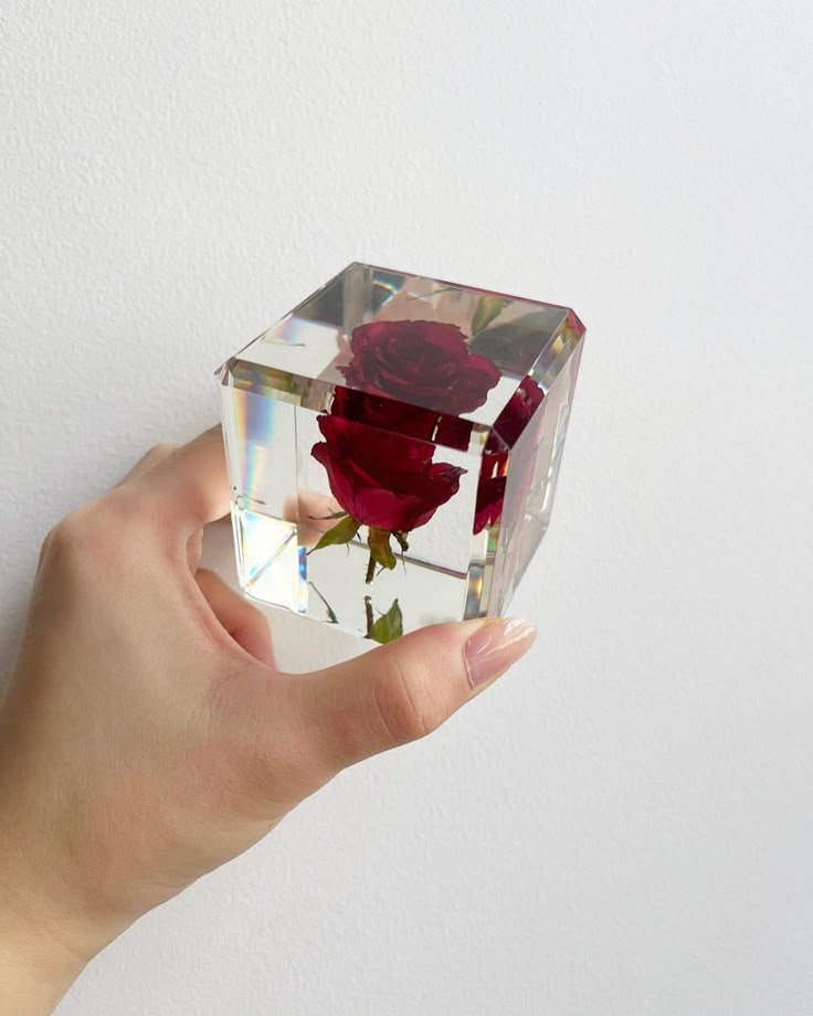 a person's hand holding a glass block with a rose in it