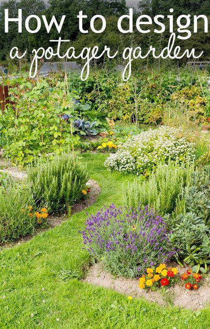 a garden filled with lots of different types of flowers and plants in the middle of it