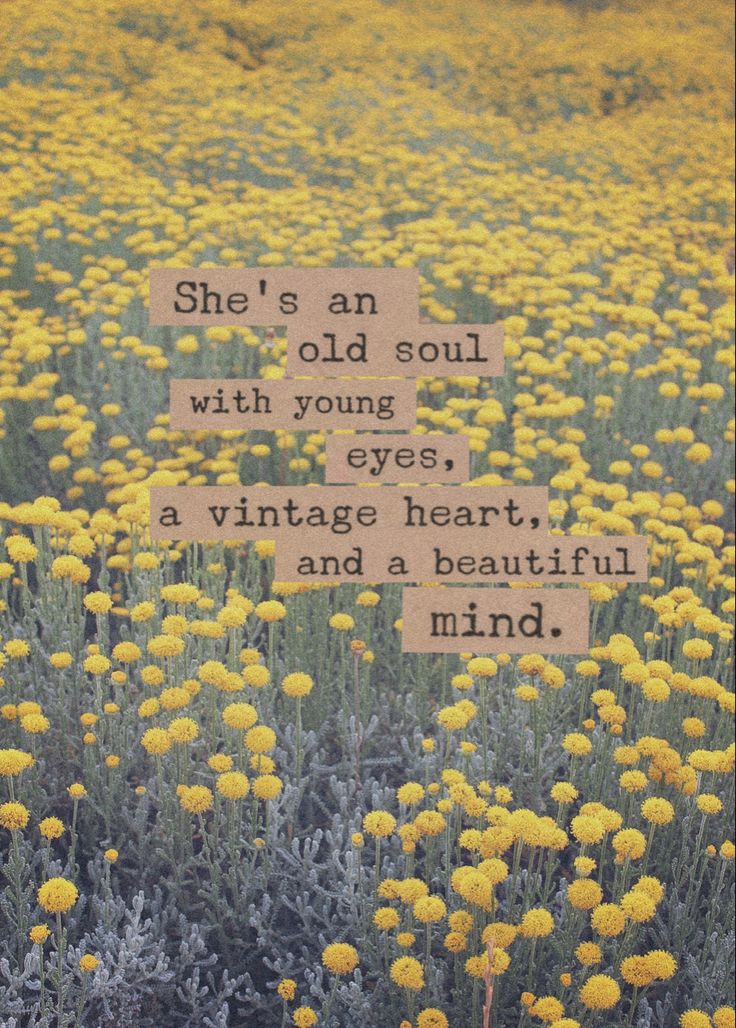 a field full of yellow flowers with the words she's an old soul with young eyes, a vintage heart, and a beautiful mind