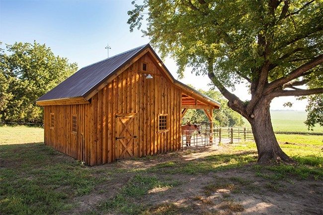 a small wooden building sitting next to a tree in a field with grass and trees