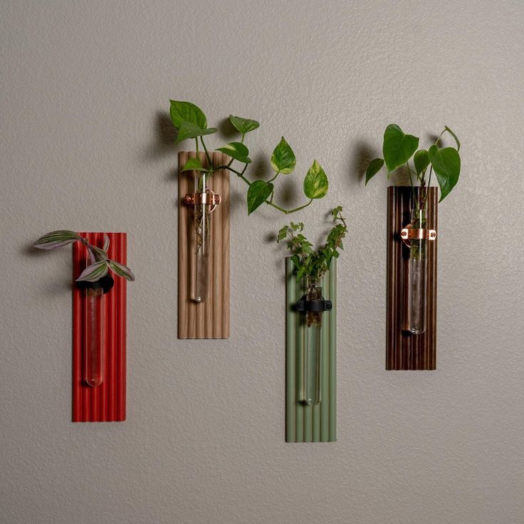 four different colored vases with plants in them hanging on the side of a wall