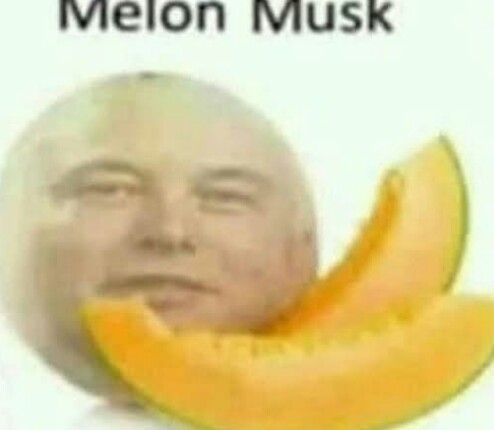 an old man with melon musk on his face and the words crafttuz below it