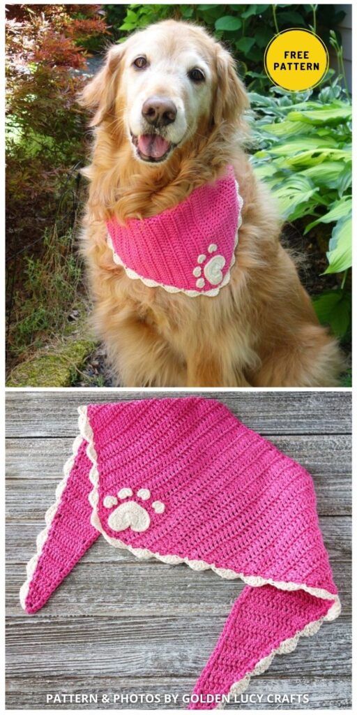 a dog wearing a pink crocheted scarf with paw prints on the front and back