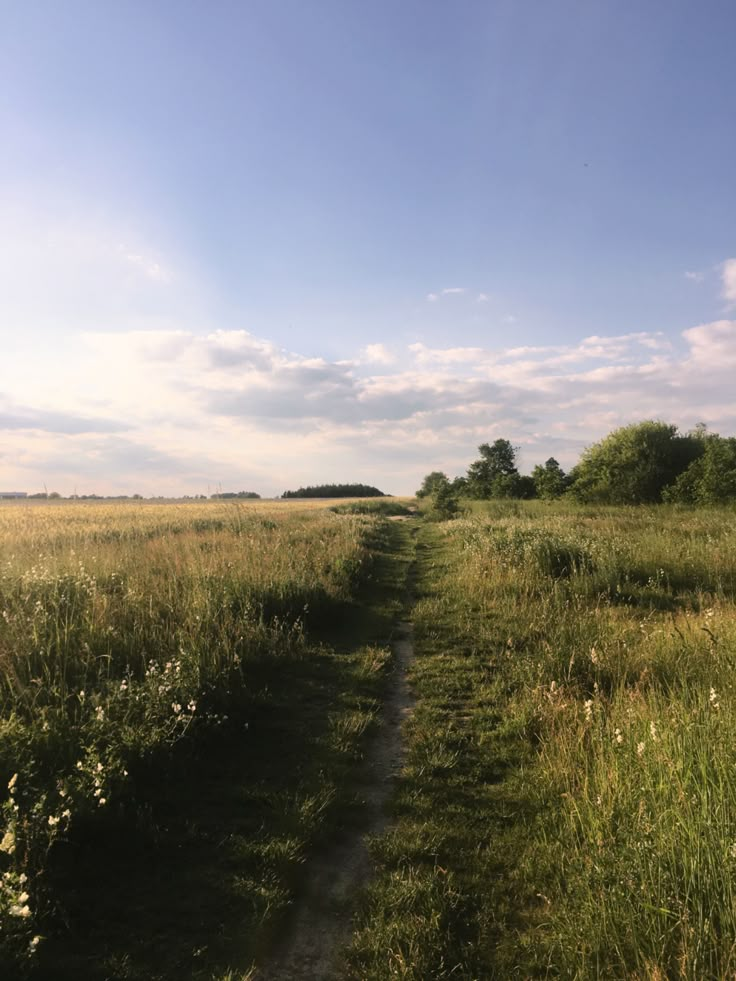 a dirt path in the middle of a grassy field