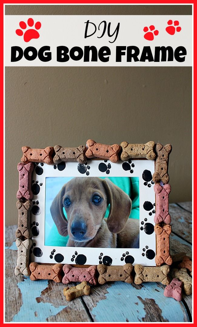 a dog bone frame with paw prints on it and the words, diy dog bone frame