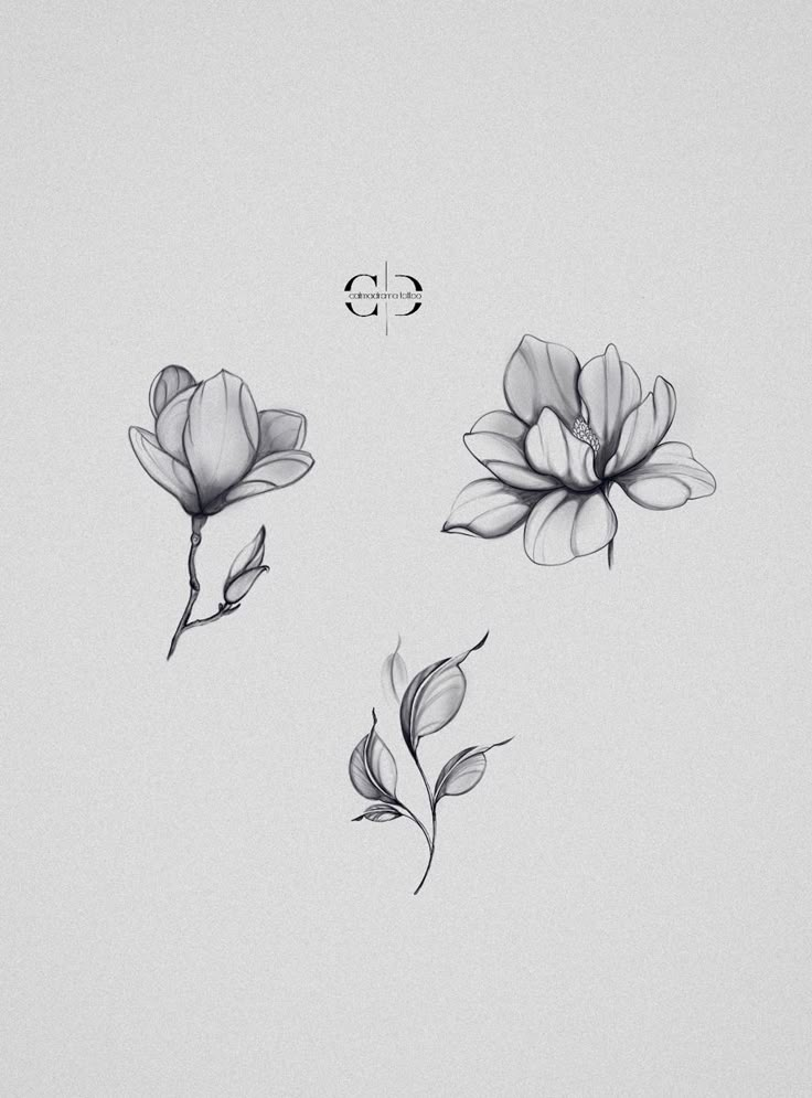 three black and white flowers on a light gray background with an arrow in the middle