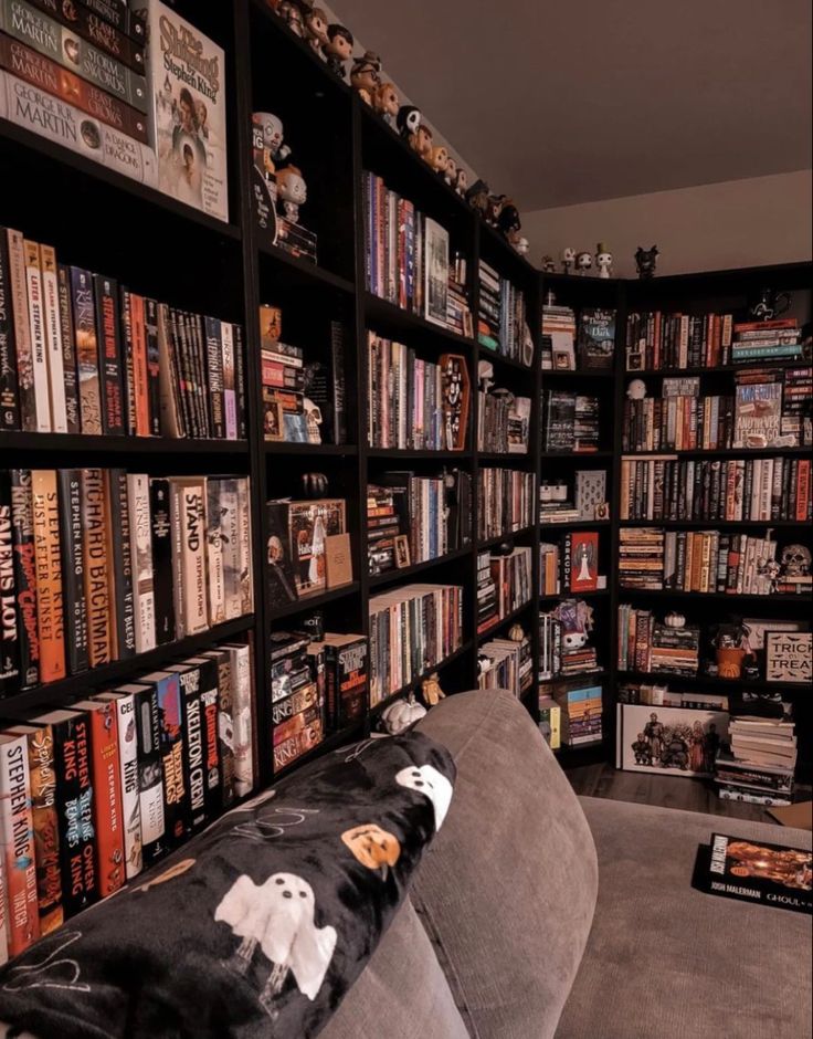 a living room filled with lots of books and movies on the wall next to a couch