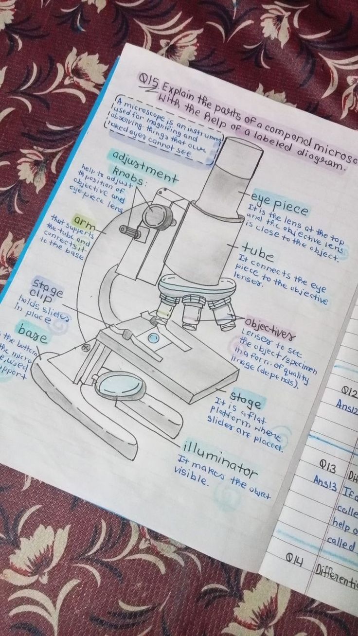 a drawing of a microscope on top of a piece of paper next to a notebook