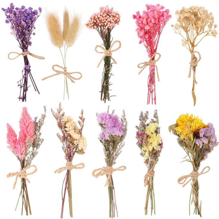 a bunch of dried flowers tied together with twine and ribbon on white background,