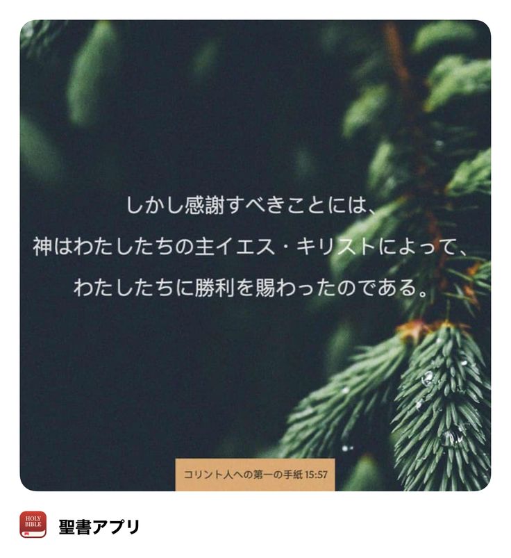 an image of a pine tree with japanese writing on it's front and back