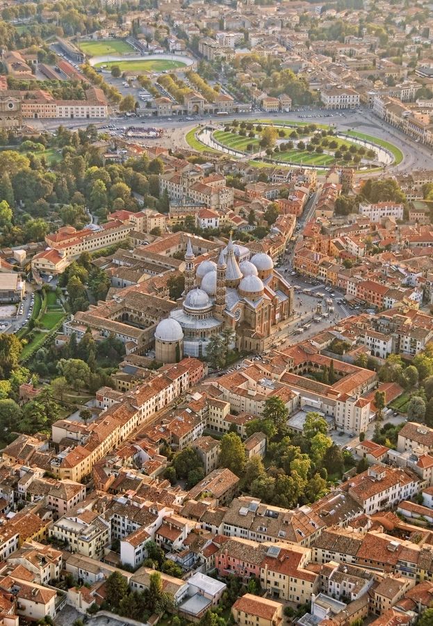 an aerial view of a city with lots of buildings and trees in the foreground