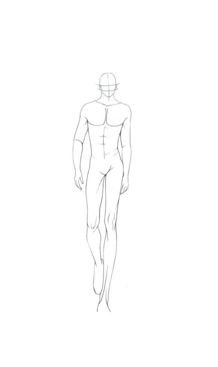 a line drawing of a man's body and torso, viewed from the front