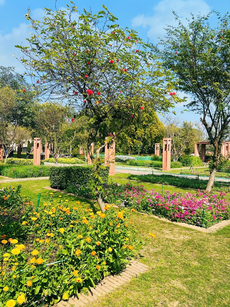 the garden is full of colorful flowers and trees