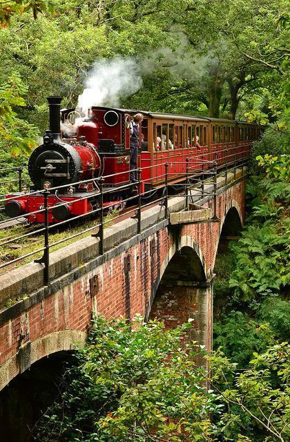 a red train traveling over a bridge in the middle of a lush green forest filled with trees