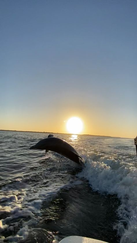 two people riding on the back of a boat in the ocean with a dolphin jumping out of the water