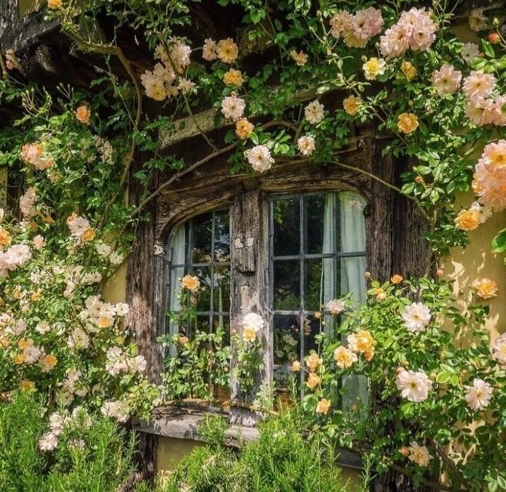 an old window surrounded by flowers and greenery