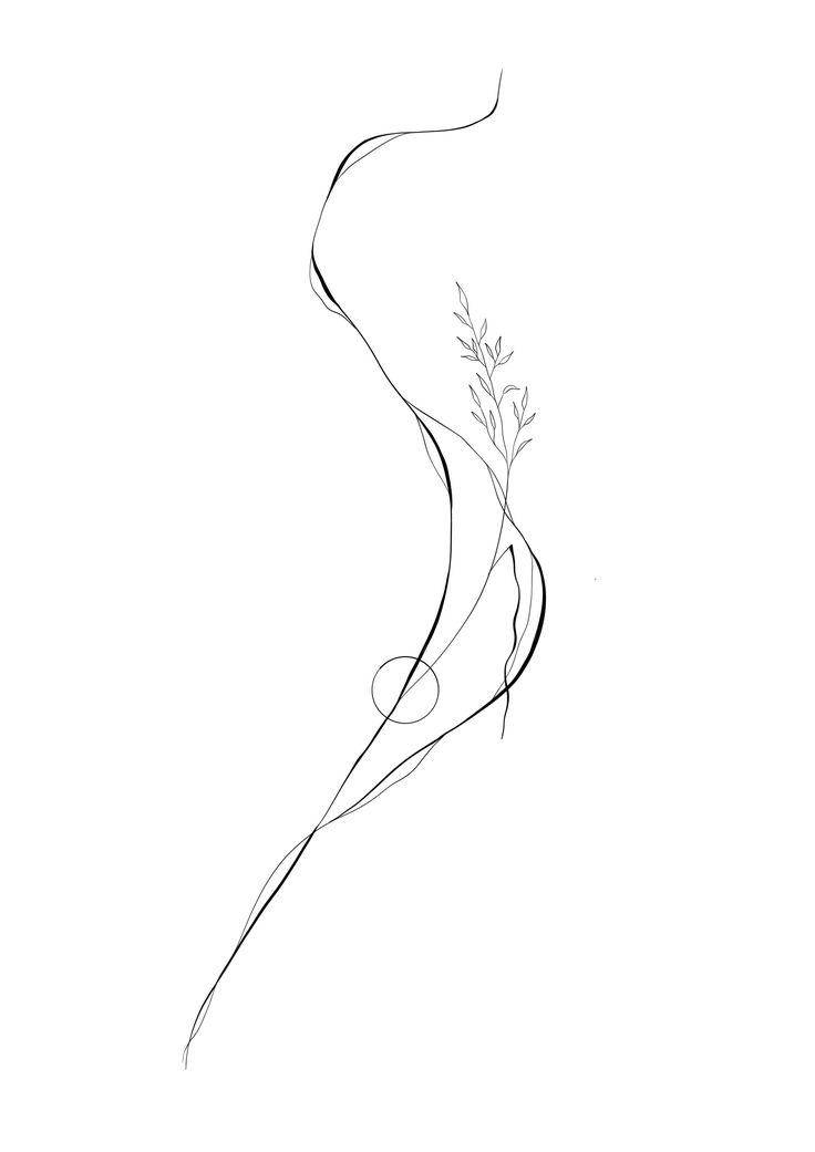 a black and white drawing of a plant on a white background with long thin lines