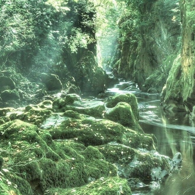 a stream running through a lush green forest filled with rocks and mossy vegetation on both sides