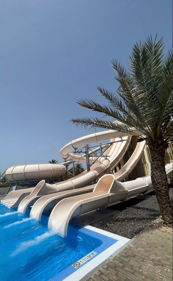 an inflatable water slide next to a palm tree on the side of a swimming pool