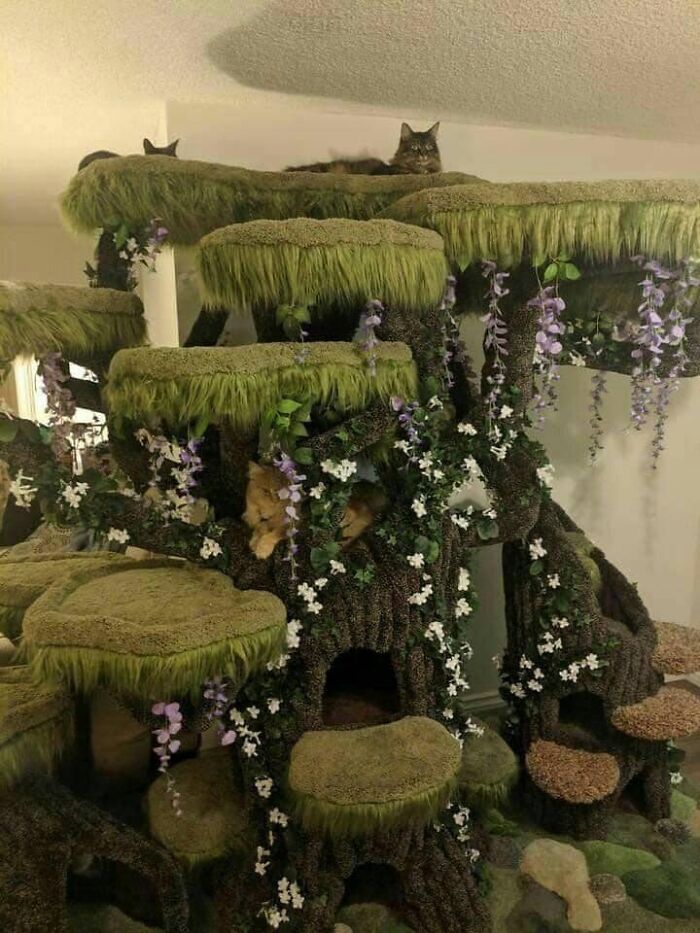 there is a cat sitting on top of the moss covered tree house that has flowers growing all over it