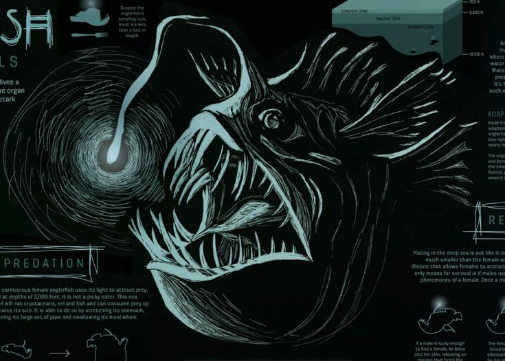 an illustration of a fish with its mouth open and teeth wide open in front of it