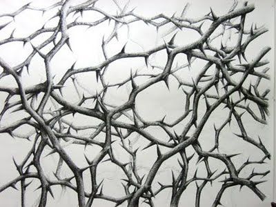 an abstract drawing of branches against a white background